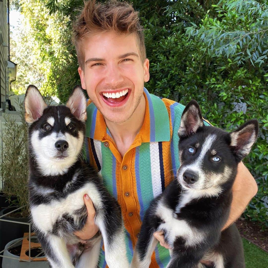 ジョーイ・グレーセッファのインスタグラム：「Our @thehuskypac just keeps growing! Still can’t believe we’re keeping these two! Thus making us a family of 5 huskies, what should we name them?! 🤯🐺🐺🐺🐺🐺 new video, link in bio!」