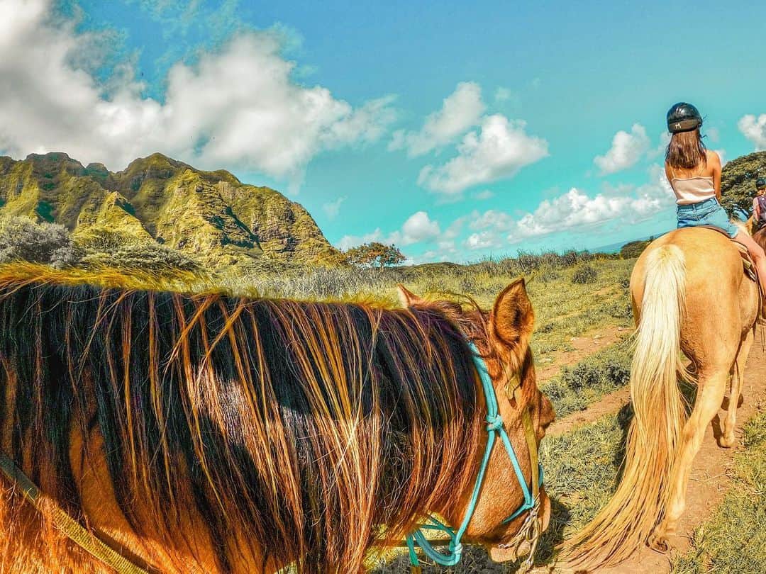 のインスタグラム：「@hawaiitaro がGoProで撮ってくれた写真を、私がLightroomとsnapseedで加工した。 1枚目📷 加工後 / 2枚目📷 加工前 . #たびすたぐらむ#旅好きな人と繋がりたい#旅好き女子#写真好きな人と繋がりたい#カメラ好きな人と繋がりたい#写真好きな人と繋がりたい#カメラ女子#ファインダー越しの私の世界#ダレカニミセタイケシキ#ハワイ#hawaii#ホノルル#クアロアランチ#goproのある生活#gopro」