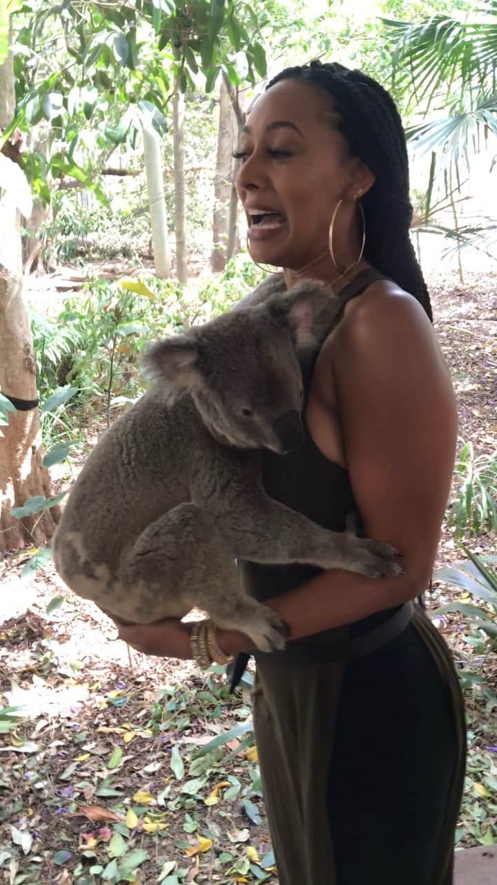 のインスタグラム：「@lonepinekoala #Australia 🇦🇺」