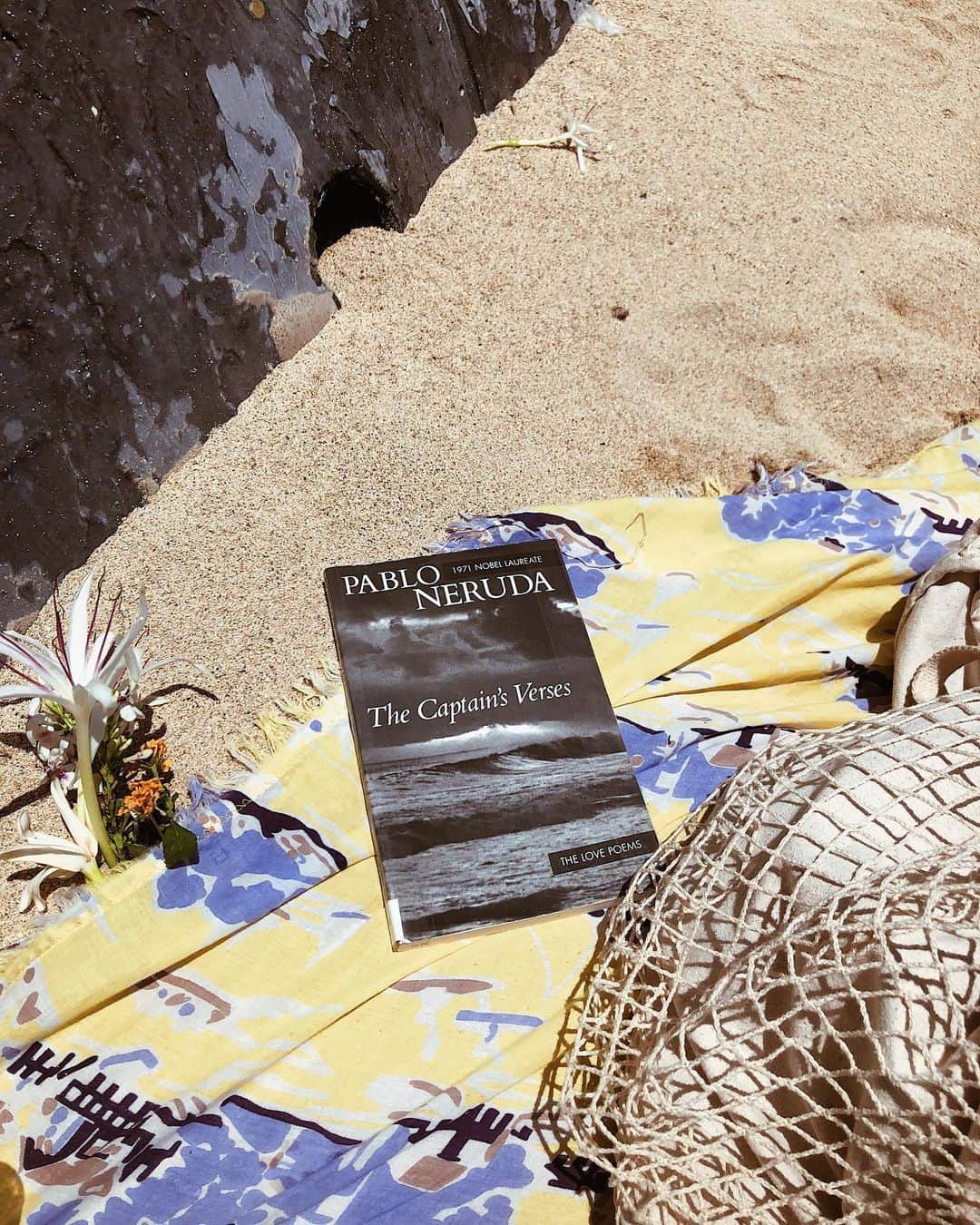 Tamikoのインスタグラム：「book recommendations always welcome ✨🌞📖」