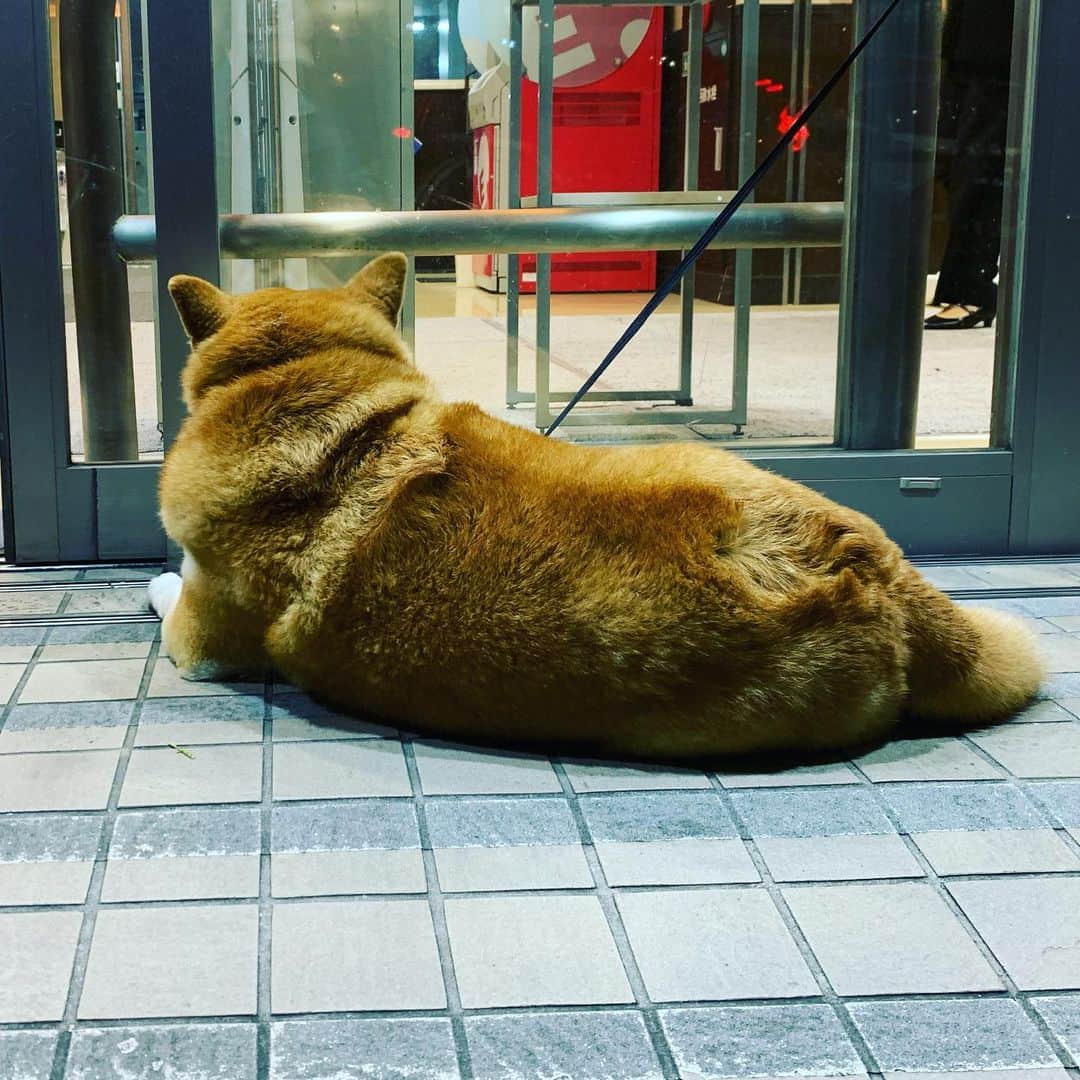 一三のインスタグラム