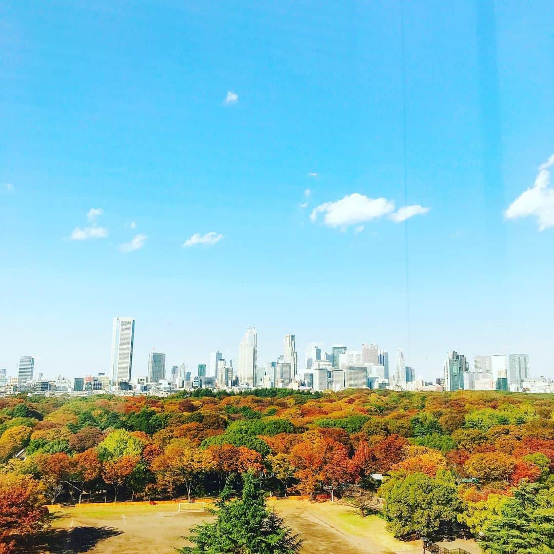 益子直美さんのインスタグラム写真 - (益子直美Instagram)「今日見た景色。  NHKのラジオスタジオより。  紅葉🍁の向こうに新宿。  #紅葉  #nhk  #新宿  #紅葉の向こうに新宿」11月14日 18時47分 - naomi.masuko