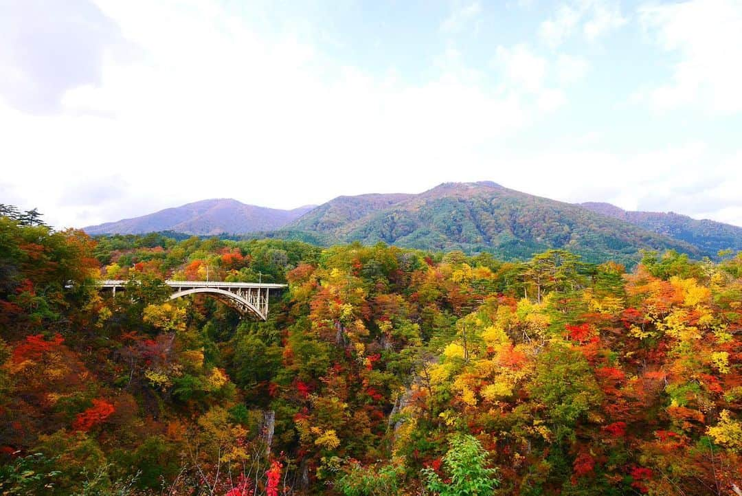 上原泰子さんのインスタグラム写真 - (上原泰子Instagram)「. ▽ 紅葉狩り🍁 . . #何を狩るの？ #もみじ？ #鳴子峡#鳴子#紅葉#紅葉狩り#紅葉見頃 #canon秋2019」11月14日 18時55分 - yasupi1107