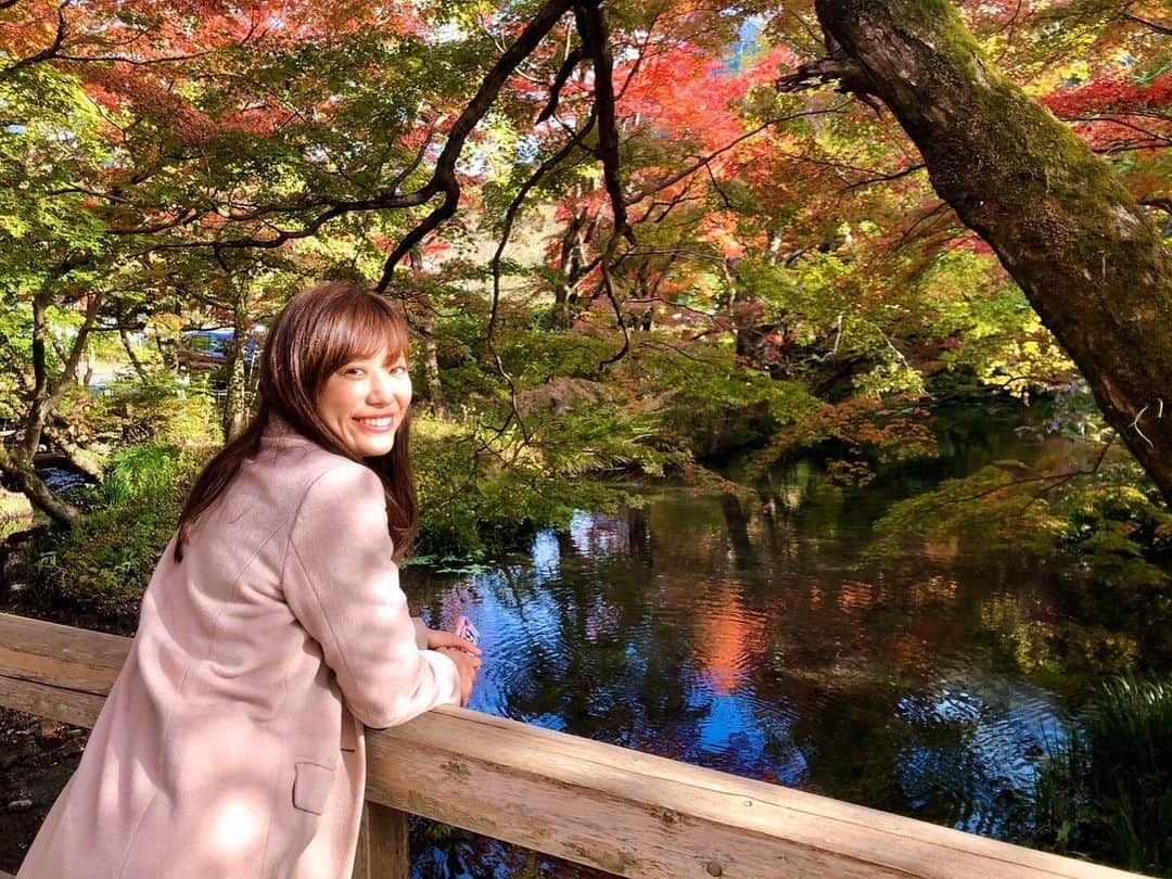 鈴丘めみさんのインスタグラム写真 - (鈴丘めみInstagram)「😝🍁😝🍁😝🍁 #紅葉 #別府 #fall #travel」11月14日 19時04分 - memi1027xoxo