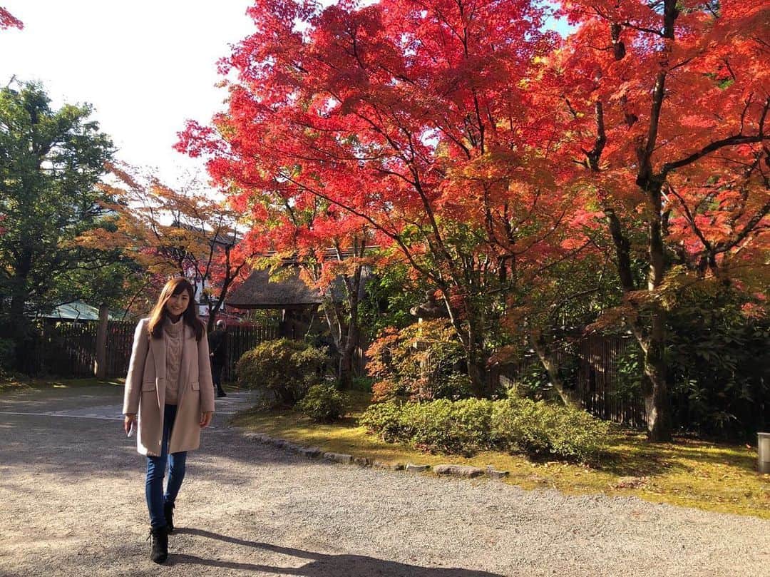鈴丘めみのインスタグラム：「😝🍁😝🍁😝🍁 #紅葉 #別府 #fall #travel」