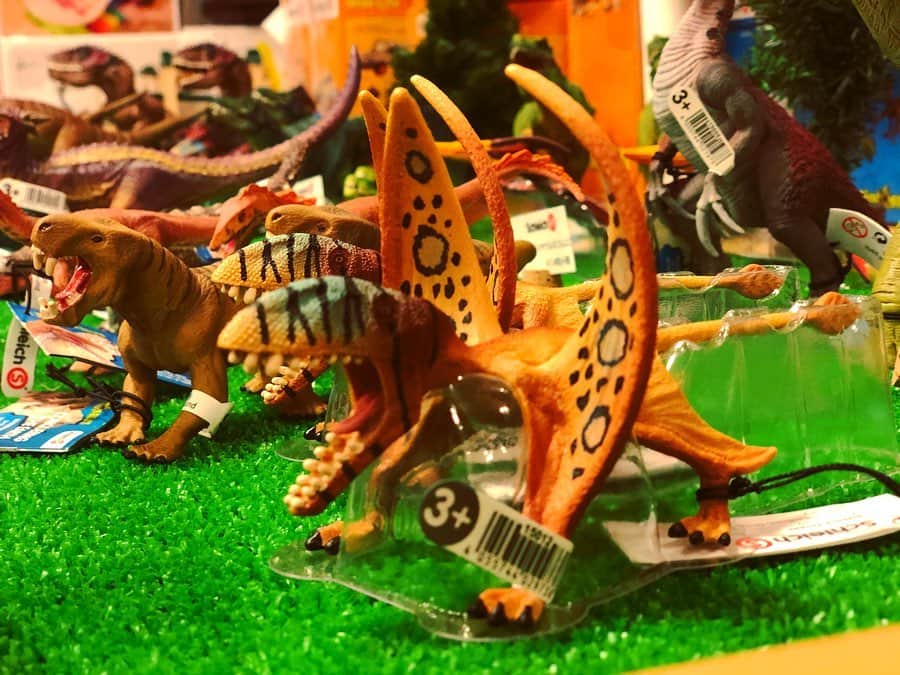 kidzoo+のインスタグラム：「【15012  ディモルフォドン 】 ディモルフォドンは、大きな頭と長いくちばしを持った、小さな翼竜です。  爪で魚や昆虫、トカゲ、その他の脊椎動物を狩り、鋭い牙で食いちぎります。翼は小さかったので、短距離しか飛べなかったと考えられています。 ----------------------------------- 商品の詳細はプロフィールのURLからご覧いただけます！ ☛ @kidzooplus  #シュライヒ #schleich #kidzooplus #インテリア  #フィギュア #知育玩具 #恐竜 #kids #名古屋市名東区 #名古屋 #贈り物 #プレゼント #ギフト #クリスマス #クリスマスプレゼント #クリスマス準備」