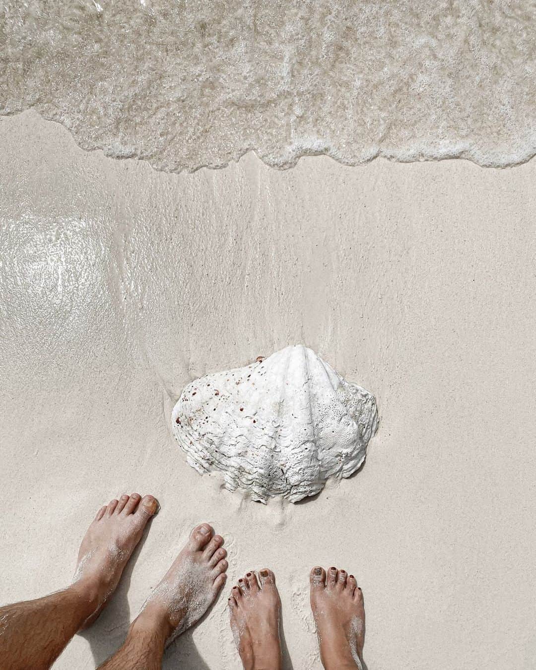 Manamiのインスタグラム：「🐚🌊🌊🌊 でっかいshellちゃん落ちてた！ ㅤ #shell #malcapuyaisland」