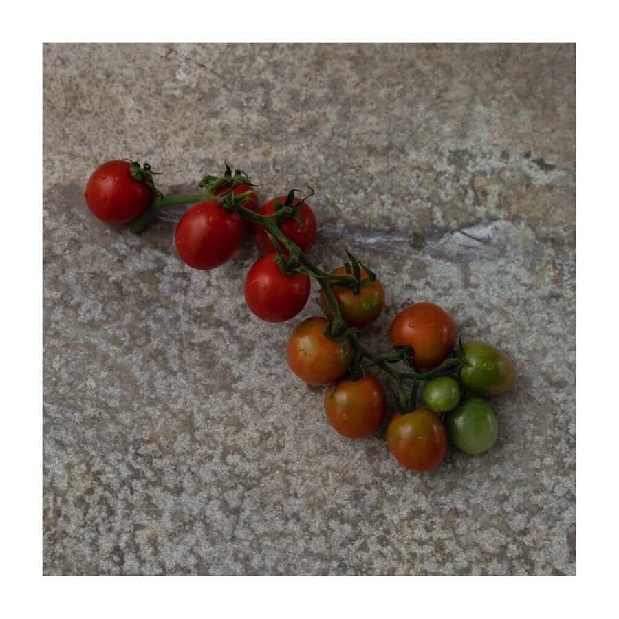 ellecafejapanのグルメインスタ