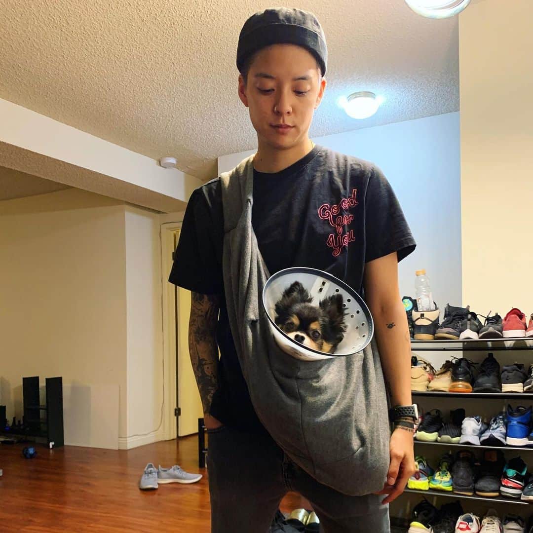 アンバー さんのインスタグラム写真 - (アンバー Instagram)「DAY 4 #OtherPeopleChallenge  Had a rough day at the vet but at least we got a new sling bag for JackJack!  #OtherPeopleChallenge  I want to challenge you guys for the next 7 days to do at least ONE THING that makes you laugh, makes you happy, or even calms you down. It doesn’t have to be big and flashy, it can be WHATEVER YOU WANT!」11月14日 12時42分 - amberliu