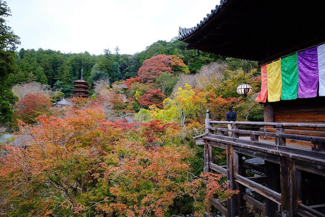 奈良 長谷寺 / nara hasederaのインスタグラム