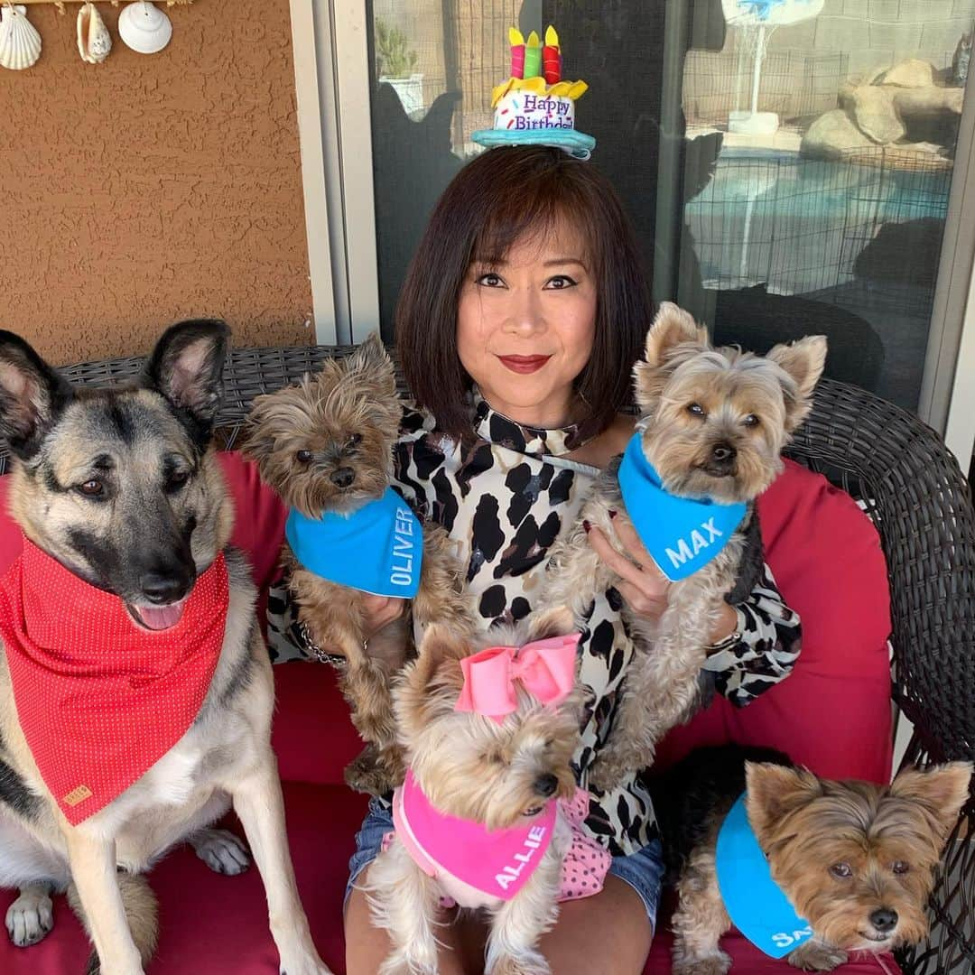 さんのインスタグラム写真 - (Instagram)「Had an awesome birthday yesterday! 🥩🍷🎉 Thank you so much for all the Birthday Love! 🙋🏻‍♀️♥️🙏🏼🥰🥳 #YorkieMom #YorkieMomsRock #HappyBirthdayToMe #AllMyLoves」11月14日 13時36分 - fouryorkiesmom