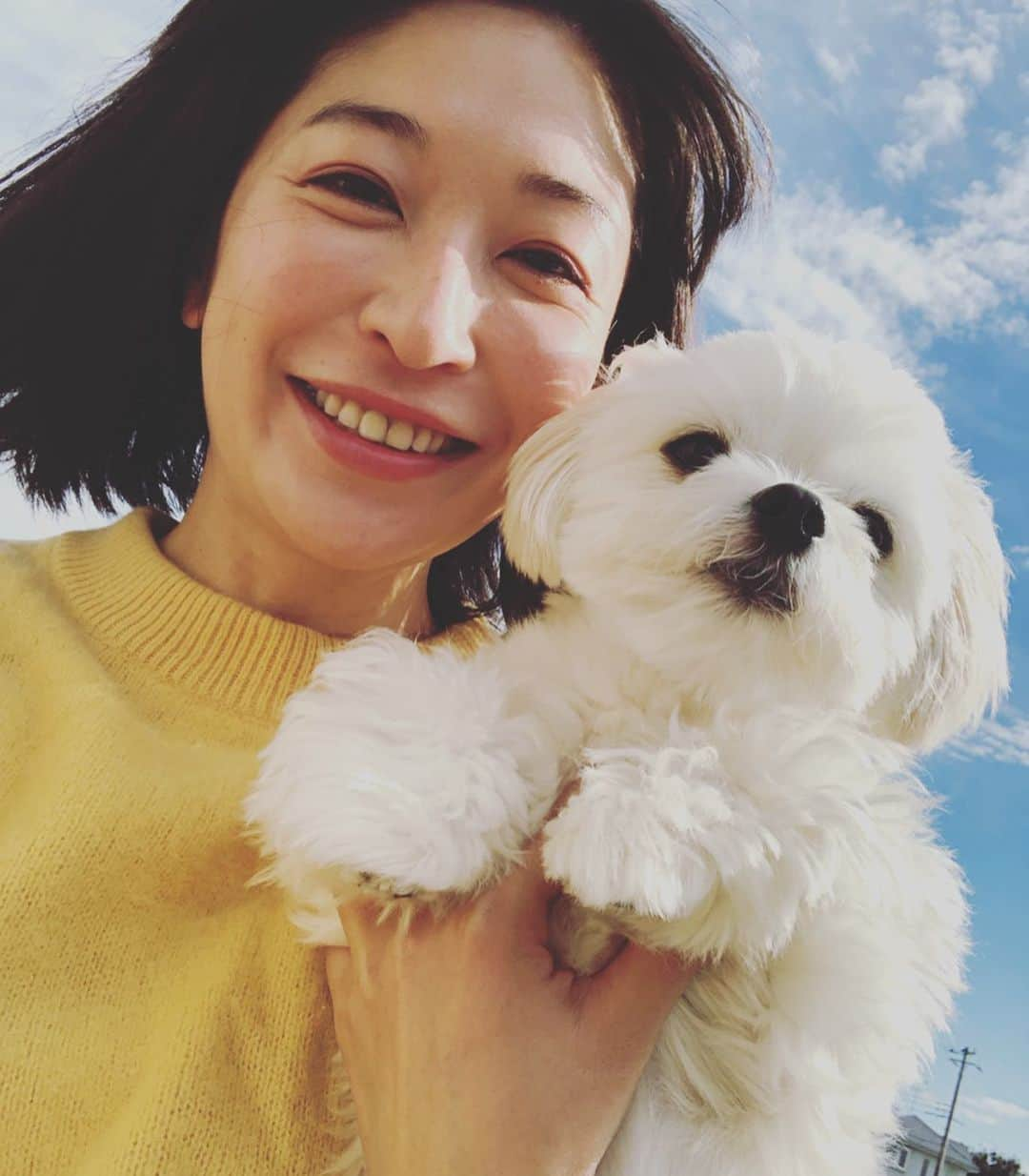 小野真弓さんのインスタグラム写真 - (小野真弓Instagram)「いいお天気( ´ ▽ ` )お留守番頑張ったから、、夕さんぽ🎶  記念撮影はいいから、、 早く散歩行こうよ🌴のハルくんと、 オヤツください😋のハナちゃんです。 #チワワ#ハナちゃん #チワマル#ハルくん #いぬすたぐらむ #いぬばか部 #chihuahua #maltese #mixdog #doglover #dogstagram」11月14日 15時27分 - hanaharuaroi