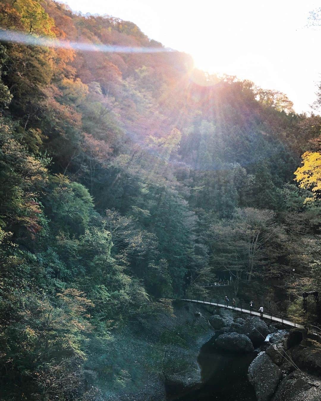 稲川千里さんのインスタグラム写真 - (稲川千里Instagram)「. . 今朝起きたら今から袋田の滝にでも行くか！となり、おじいちゃんおばあちゃんニナと4人で出発✨ 茨城県民ながら私は初めてでした🍁 今年は紅葉が遅くて、真っ赤なところは見られなかったけれど、トンネルを抜けた瞬間に広がる絶景や滝の音は本当に素敵だった😌 疲れた心にかなりのパワーチャージ！ ベタだけど、自然ってすごい✨ 帰りに市場で東京に持ち帰る美味しいお魚も買ってもらって、しあわせ〜✌🏻 #茨城県 #袋田の滝 #日本三大名瀑 #紅葉 #自然の力  #パワフルおじいちゃん #那珂湊 #魚市場」11月14日 16時06分 - chiicamera