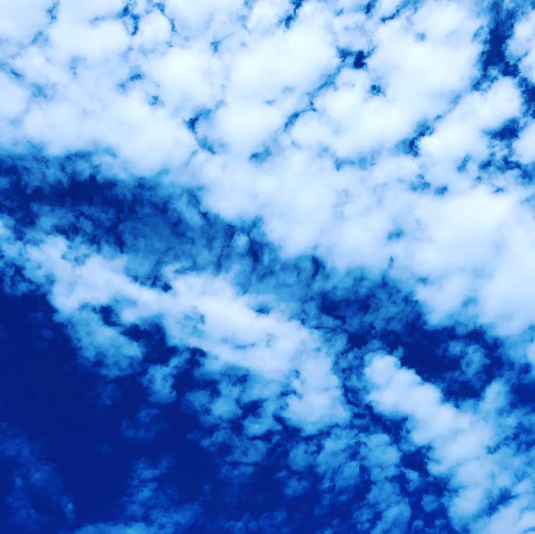 藤田朋子さんのインスタグラム写真 - (藤田朋子Instagram)「#空 #雲 #初冬」11月14日 16時26分 - chiendormant