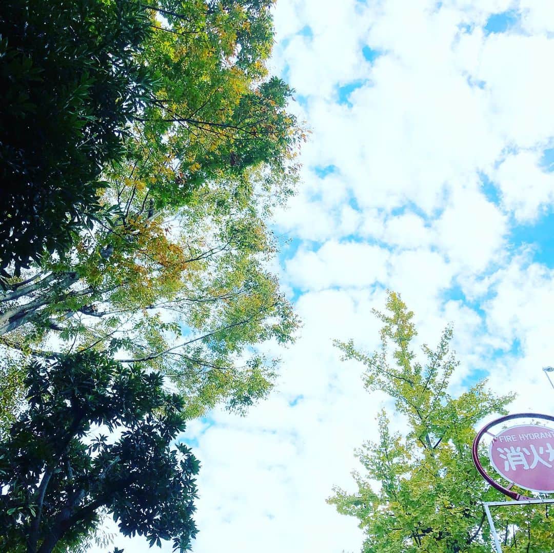 藤田朋子さんのインスタグラム写真 - (藤田朋子Instagram)「#空 #雲 #初冬」11月14日 16時26分 - chiendormant