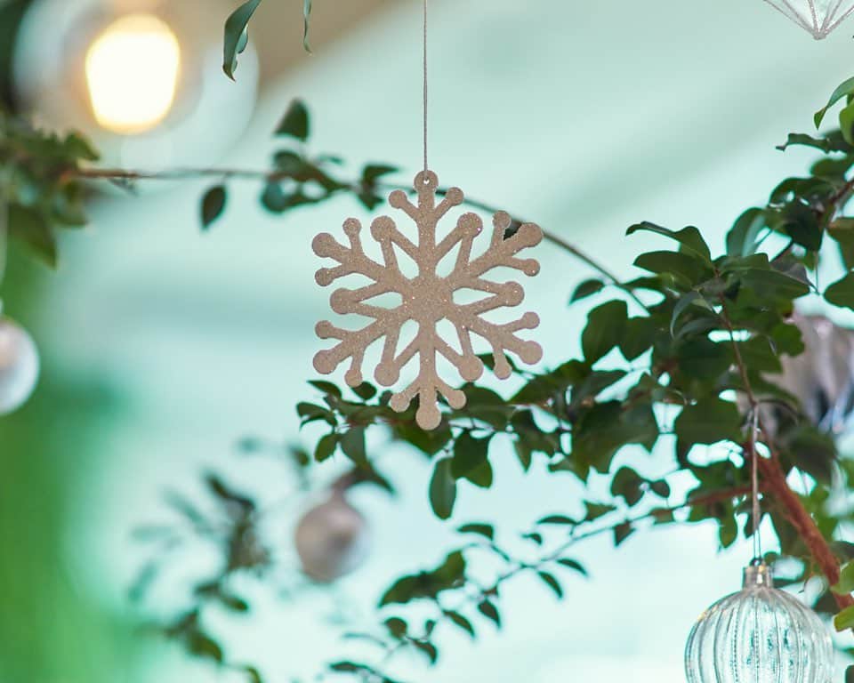 BOTANIST GLOBALさんのインスタグラム写真 - (BOTANIST GLOBALInstagram)「Only 2 months left of the year. Although the weather can be a bit chilly, the streets are beautifully decorated with illuminations and it's hard not to be excited! Joyous season is coming. ⠀ If you stop by our shop BOTANIST Tokyo in Harajuku, you'll notice that we are already feeling the winter mood with our new interior.  We have put small Christmas miniatures around the shop. Can you find them all? ⠀ Matching the Winter Set we have decorated our main Christmas tree on the first floor. Enjoy our limited edition hot wine and hot herbal tea inside the café on 2nd floor. ⠀ Don’t forgot to have a look as some limited sales in the shop too!  See you around♪ ⠀ Stay Simple. Live Simple. #BOTANIST ⠀ 🛀@botanist_official 🗼@botanist_tokyo 🇨🇳@botanist_chinese」11月14日 16時31分 - botanist_global