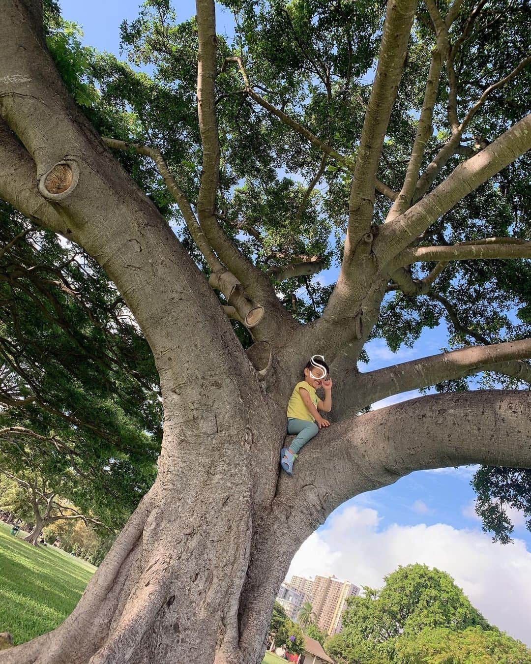 澤野井香里さんのインスタグラム写真 - (澤野井香里Instagram)「#カピオラニ公園 で#サッカー⚽️ に#木登り ♪﻿ ﻿ どこまでも広い芝生に目の前はダイアモンドヘッド、どこからか陽気な音楽も聞こえてきてとっても気持ちいい＾＾﻿ ﻿ 初めは『怖いー嫌だー』と泣いていた木登りも、登れたら高いところからの景色に最高のSmileに🤗﻿ ﻿ 『やれば、できる。』はパパとの合言葉🗝﻿ ﻿ 夜は海沿いをお散歩しながら期間限定のTBDへ😋🍴﻿ ﻿ #ks_trip✨ #ks_trip_hawaii✈️ #ks_trip_🇺🇸 #ks_19✨ kaoris_family #kaoris_family_2019 #hawaii #kapiolanipark #ハワイ #ハワイグルメ #ハワイ #家族旅行 #ハワイ旅行 #子連れ海外 #子連れハワイ #kaoris_son #kaoris_son_2019 #小さな彼氏s #ks_dau #ks_dau_2019 #ks_soda #ks_soda_19 #S⭐️_ #M🍒_  #s⭐️m🍒」11月14日 16時39分 - kaori_sawanoi