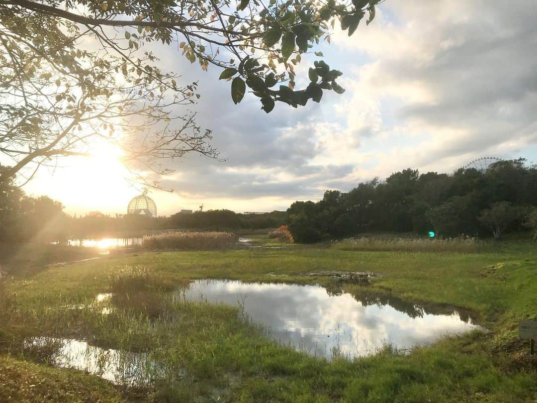 吉野史桜さんのインスタグラム写真 - (吉野史桜Instagram)「葛西臨海公園でのんびりして来た☺️💕 #葛西臨海公園 #千葉 #海 #沼　#自然 #空 #休暇」11月14日 17時04分 - shionyoshino