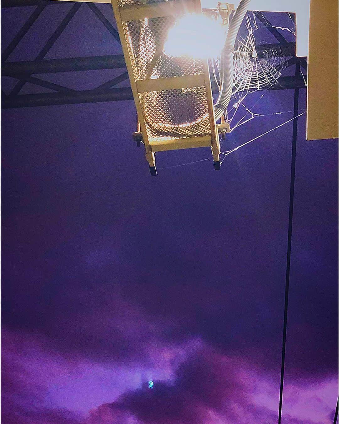 阿知波妃皇のインスタグラム：「Amazing🕷」