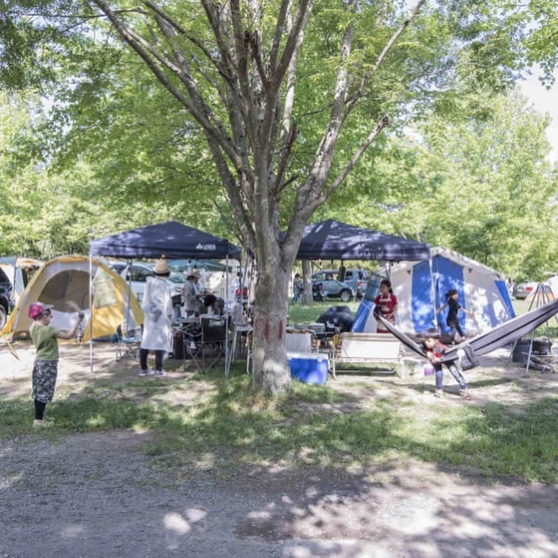 キャンプ情報サイト［ランタン］さんのインスタグラム写真 - (キャンプ情報サイト［ランタン］Instagram)「CAMP SMILE STYLE ／ 父から譲り受けた 30年モノの鉄骨テント ＼ いろんなキャンパーのキャンプスタイルを現地取材と一般キャンパーからの投稿で数多く掲載してます。 . . 詳しくは @lantern.camp  webサイトをご覧ください . . #camp #camping #outdoor #travel #trip #lantern_smile #nature #キャンプ #キャンプ用品 #アウトドア #テント #自然 #旅行 #キャンプ初心者  #キャンプ好きな人と繋がりたい #かずさオートキャンプ場 #ファミリーキャンプ #ファミキャン #焚き火テーブル #ロッジテント」11月14日 17時48分 - lantern.camp