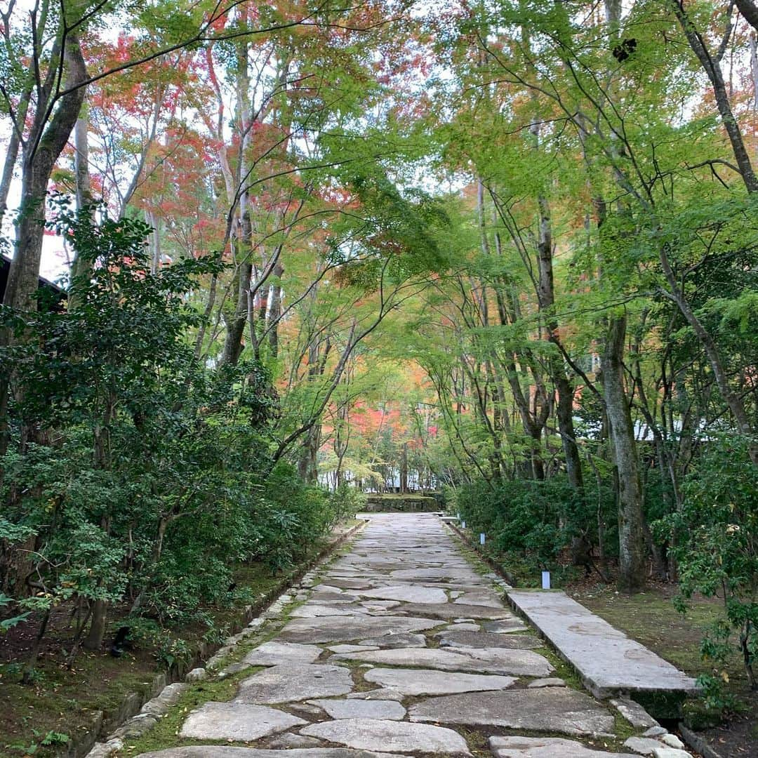 渡部建さんのインスタグラム写真 - (渡部建Instagram)「ハァ〜癒されました。」11月14日 17時49分 - watabeken