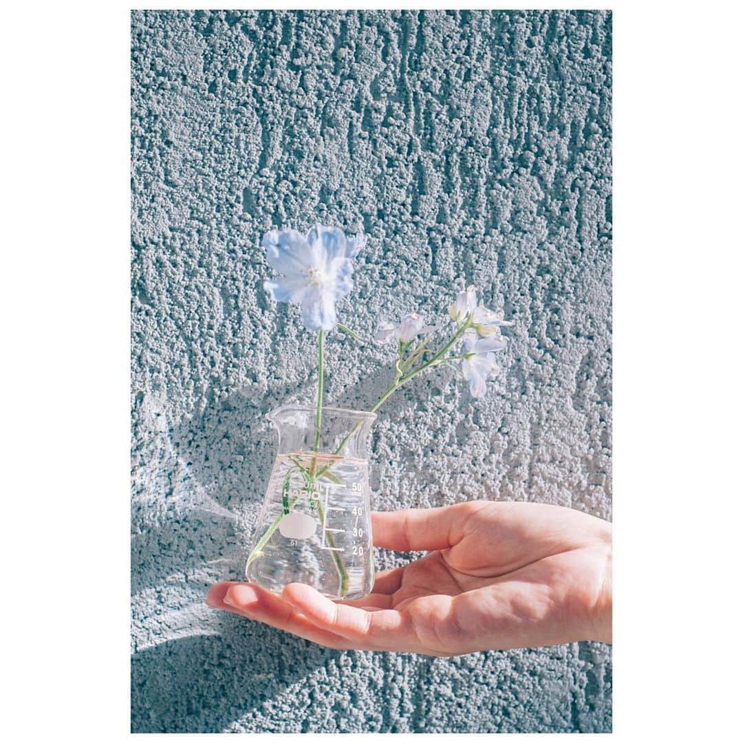 HARIOのインスタグラム