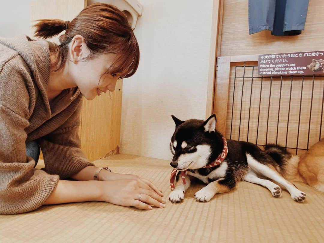 志村理佳さんのインスタグラム写真 - (志村理佳Instagram)「癒された🥺♡ #鎌倉デート#豆柴#鎌倉乃豆柴カフェ」11月14日 18時09分 - rika_shimura