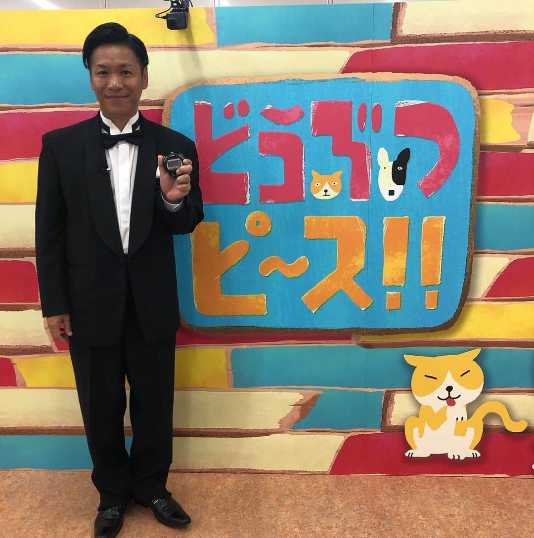 川島章良のインスタグラム：「. . . 今夜 『どうぶつピース！！』 18時25分　テレビ東京 障害物を乗り越え　飼い主の元に辿り着いたら1万円　のコーナーMCやらせてもらってます。  しかも2歳以下のワンちゃんなので可愛さ倍増ですよ。  タキシードってむずい。 でも着るとすごいぴっしっとする . . . #どうぶつピース  #はんにゃ川島 #MC #タキシード」