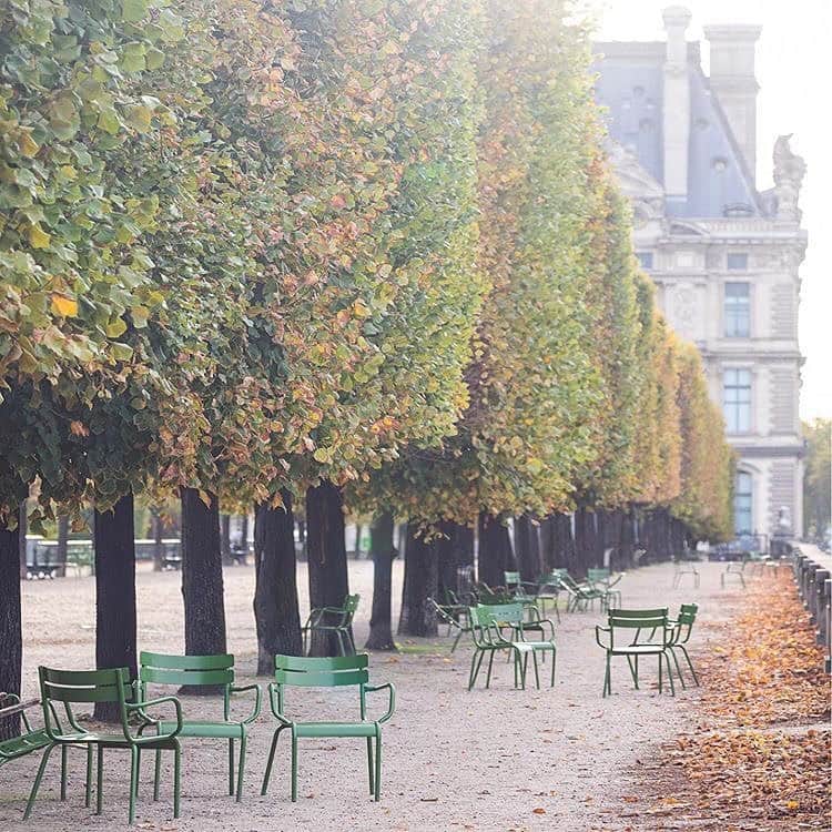 ジャマンピュエッシュのインスタグラム：「An exquisite early autumn morning in the Tuileries garden.」