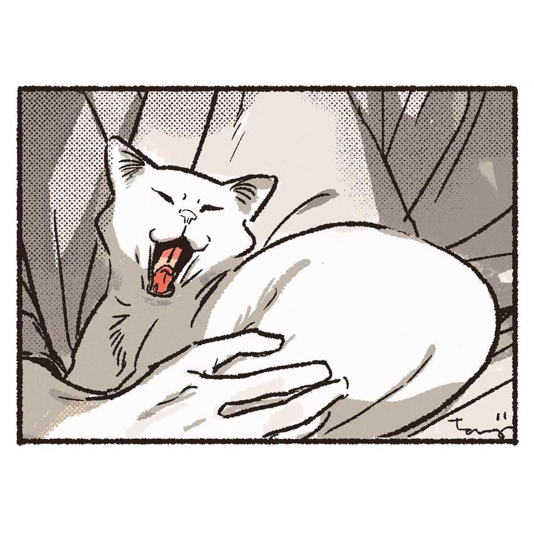丹地陽子さんのインスタグラム写真 - (丹地陽子Instagram)「#cat #illustration #yawn」11月15日 5時23分 - yokotanji