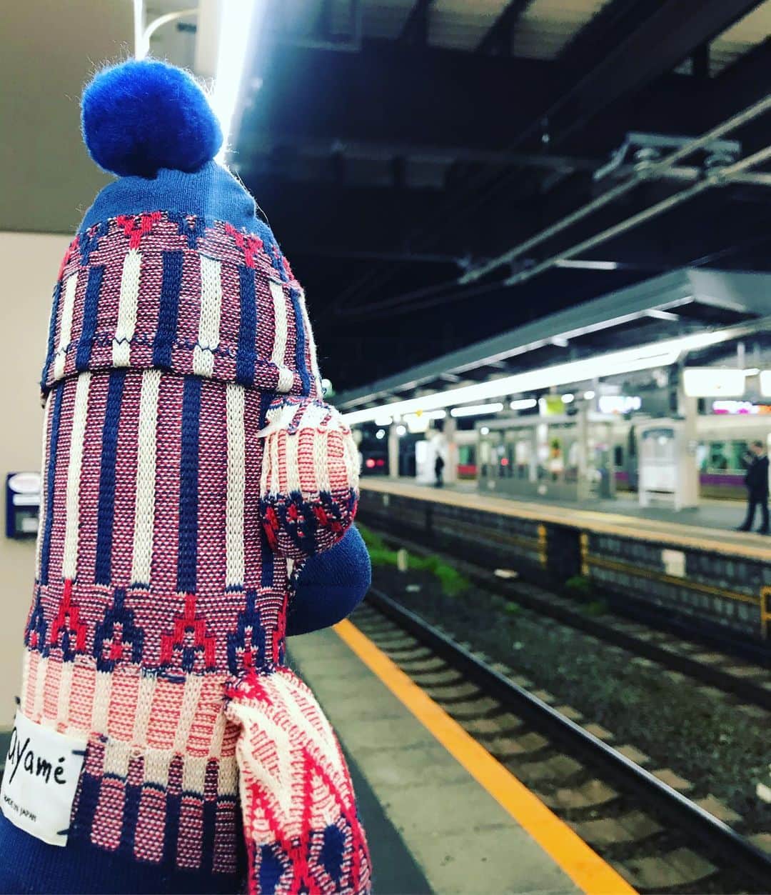 アヤメのインスタグラム
