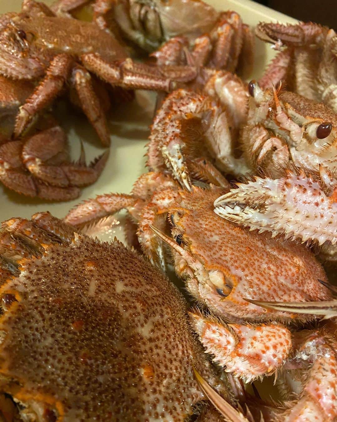 1945のグルメインスタ