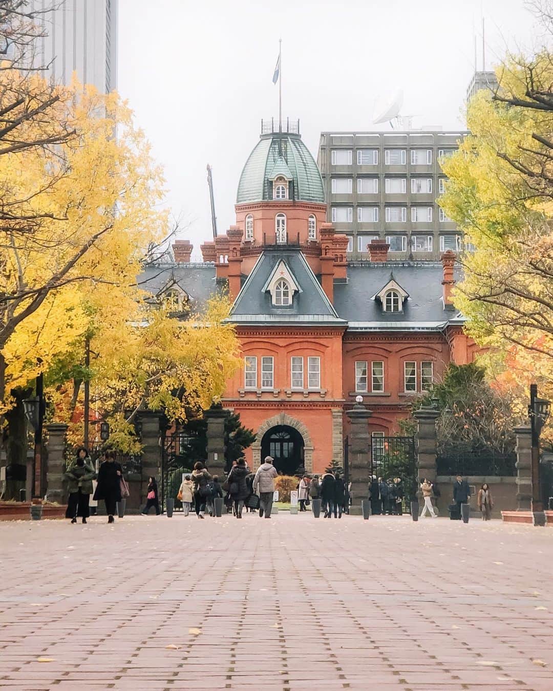 のインスタグラム：「﻿ ﻿ Sapporo / Hokkaido﻿ ﻿ #shotoniPhone﻿ ﻿ iPhoneで撮影した札幌の街 ◡̈﻿ ﻿ ﻿ ﻿ 𓂅 𓇠﻿ ﻿ ﻿ iPhone Lens #Tg_Tele﻿ Telephoto Lens 50mm﻿ ﻿ @tokyo_grapher #Shoton_Tg」
