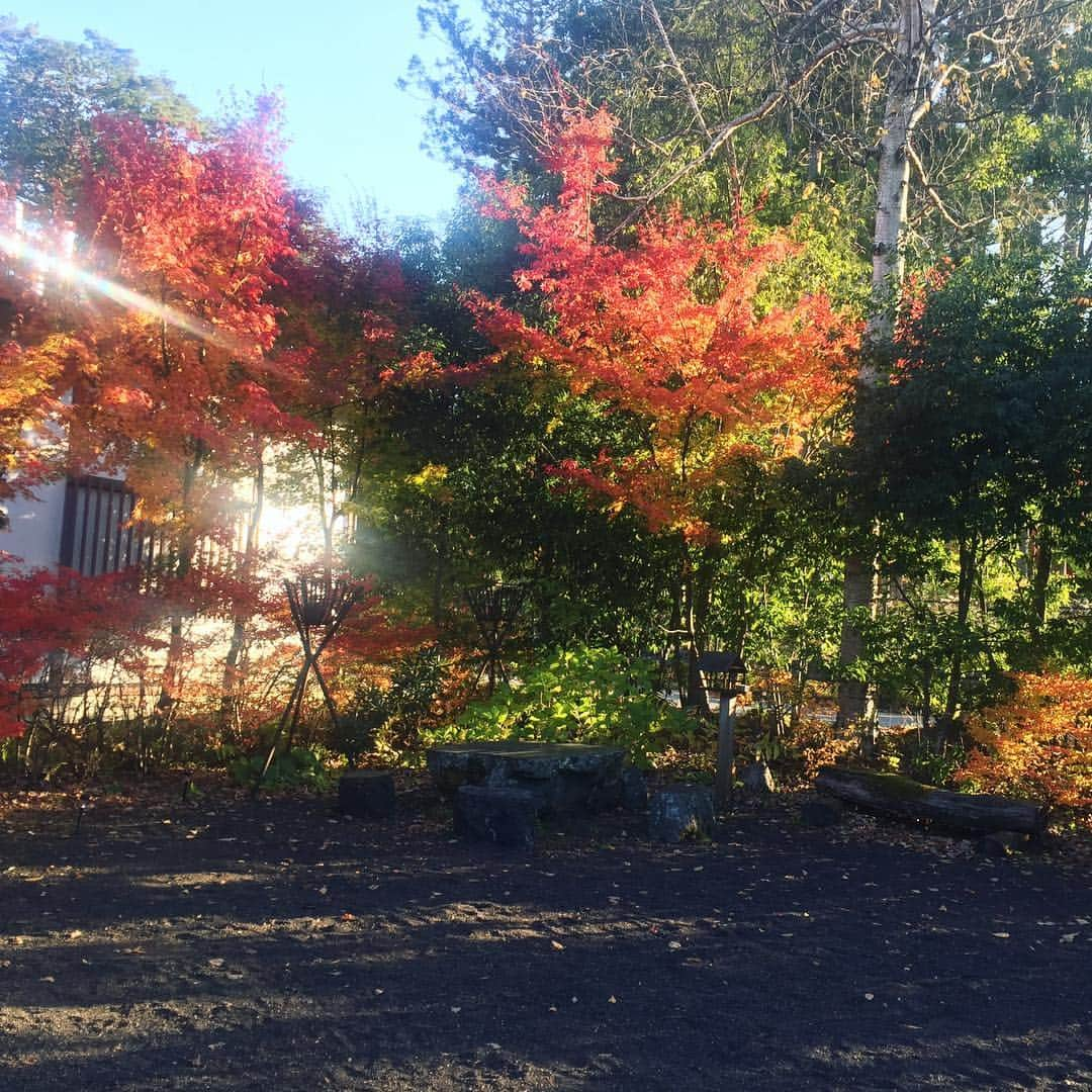 ほうとう 富士の茶屋のインスタグラム：「富士の茶屋、お庭の紅葉が良い塩梅です😊ぜひお食事と合わせてご覧ください🍁✨ #ほうとう#富士の茶屋#近く#すばるランド#富士急ハイランド#河口湖#山中湖#富士山#富士山5合目#秋#紅葉」