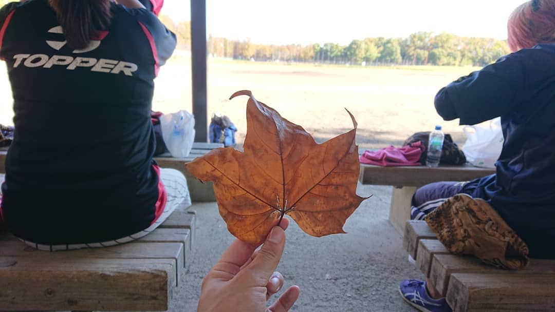 桜花さんのインスタグラム写真 - (桜花Instagram)「これがもし天狗の葉っぱならば ひと扇ぎで どこまでゆけるだろか。。🍀 おしえてんぐ👺  #葉っぱ  #紅葉  #てんぐ」11月14日 21時34分 - mountainohka