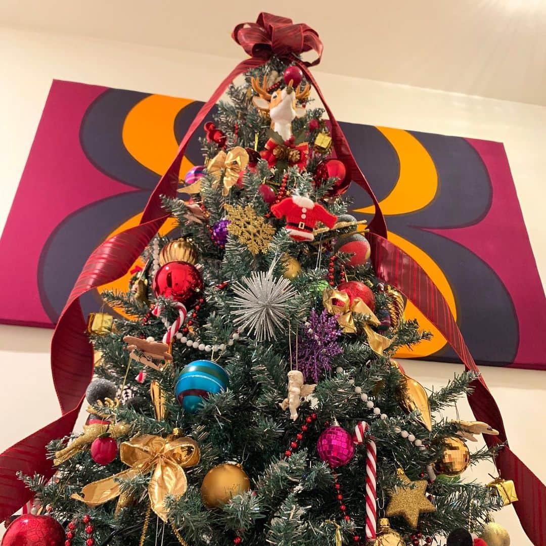 セロリさんのインスタグラム写真 - (セロリInstagram)「【4年ぶり】 4年ぶりにクリスマスツリーを出しました。 詳しくはブログにて紹介しています。 今年は笑顔でクリスマスを迎えられるといいな。 #maltese #マルチーズ #クリスマスツリー #クリスマス #すみっコぐらし #malteseofinstagram #maltese101 #malteser #malteseofficial #maltesedog #dog #instadog #dogstagram #dogoftheday #doglovers #instapet #adorable #ilovemydog  #ペット #わんこ #ふわもこ部 #犬のいる暮らし #いぬら部  #いぬすたぐらむ #peppyフォト部」11月14日 21時36分 - celeryrabbit