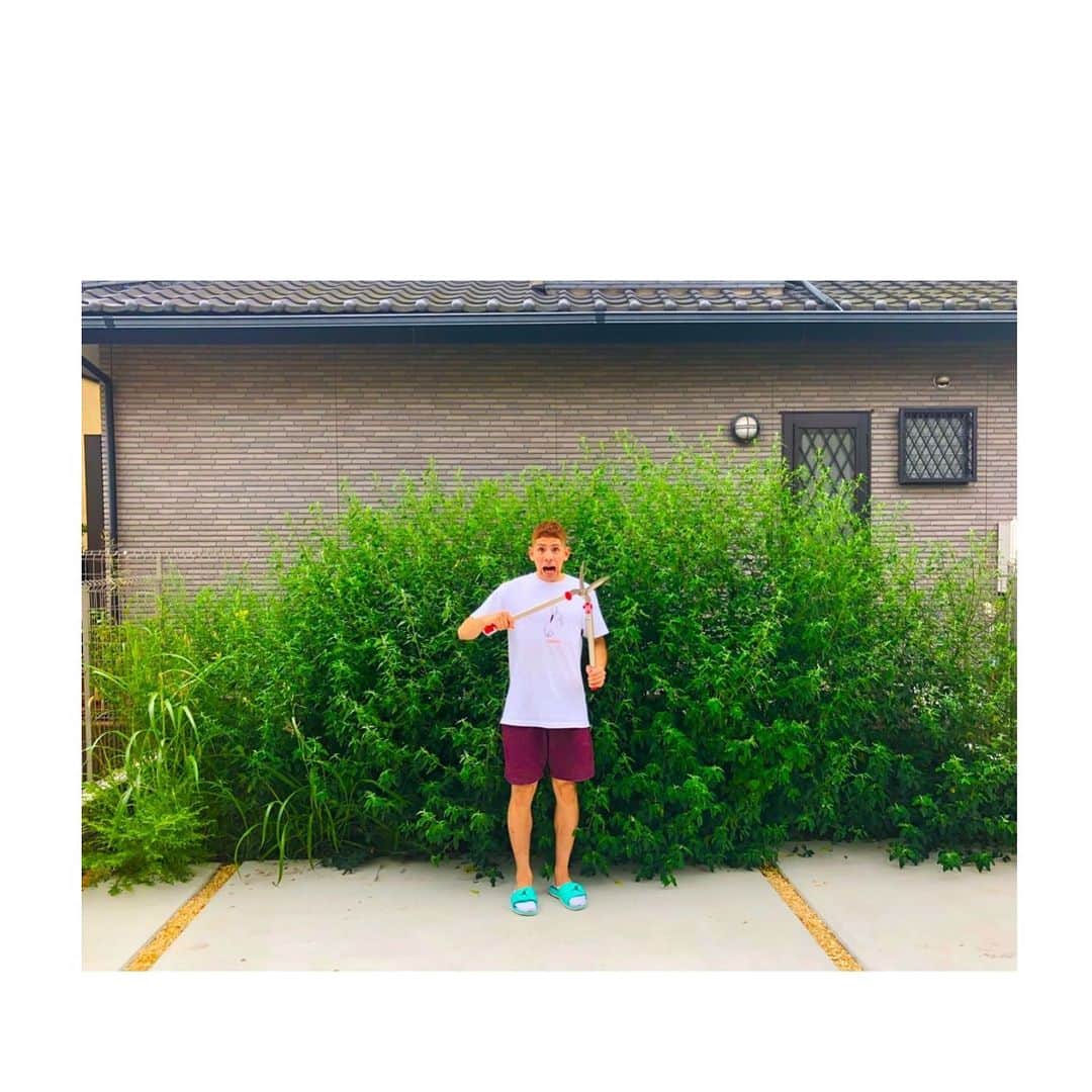 のインスタグラム：「2019.11.14 . . . みなさん『26歳』のべんどらめも よろしくお願いします！！！ . #べんどらめの誕生日 . . 写真は二ヶ月ぶりに自宅に帰ったら 膝もなかった草が伸びまくってた時に 撮った記念写真です。」