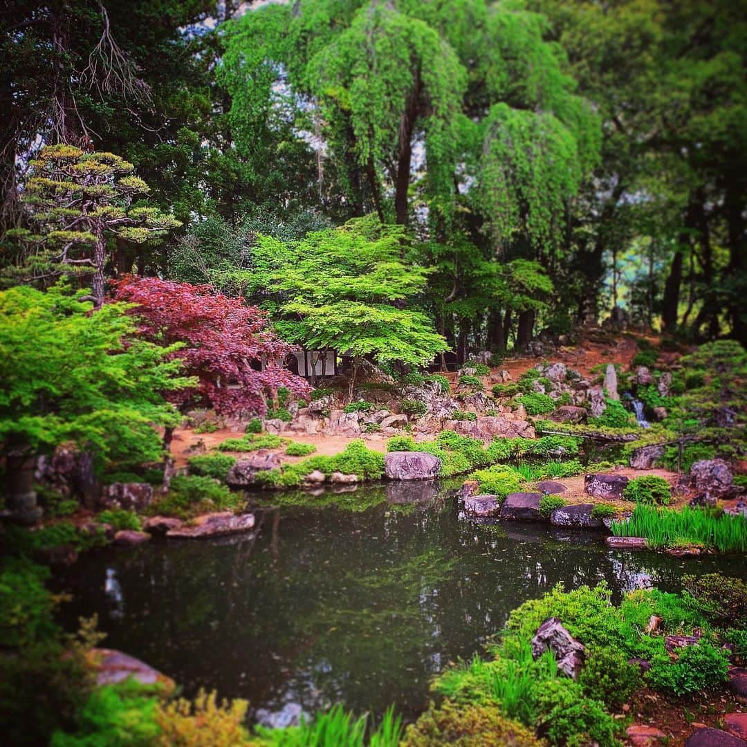 石田昌宏のグルメインスタ