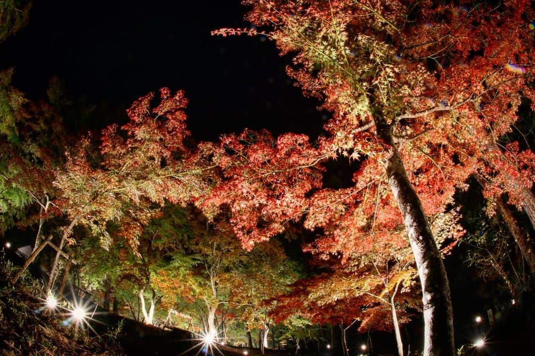 Masackさんのインスタグラム写真 - (MasackInstagram)「秋を感じてきました。  #三峰神社  #秩父  #月の石もみじ公園」11月14日 23時38分 - masackdrum