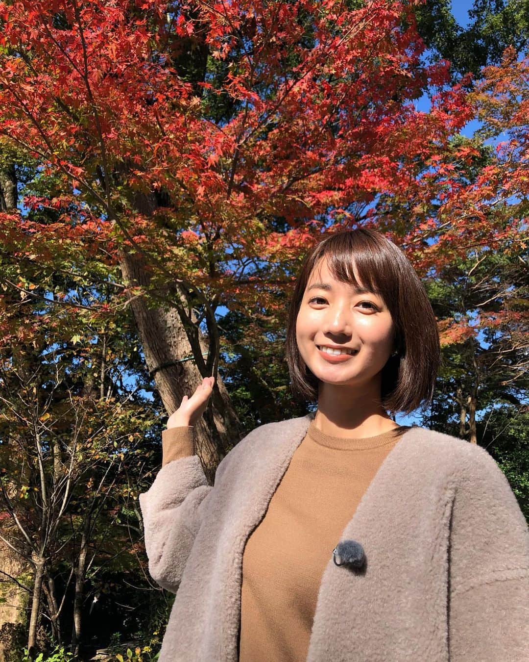小野彩香さんのインスタグラム写真 - (小野彩香Instagram)「紅葉が綺麗で癒されます〜🍁」11月14日 23時51分 - onoayaka_official