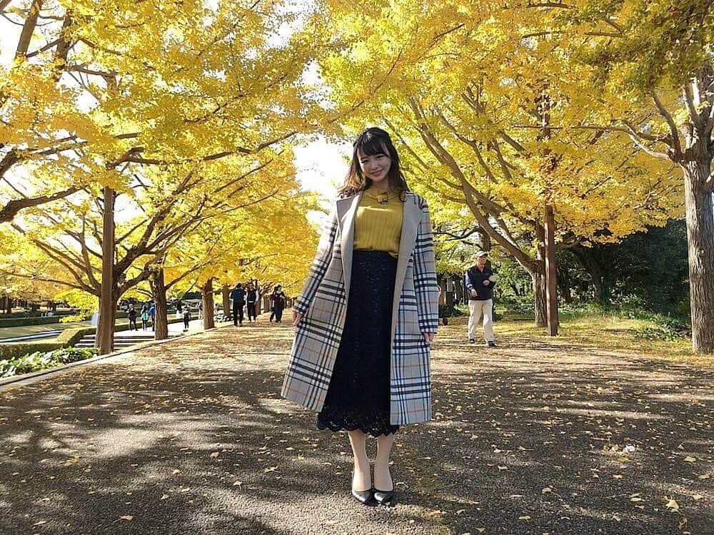 森香澄さんのインスタグラム写真 - (森香澄Instagram)「. よじごじ中継は昭和記念公園からお届けしました🍁 . 衣装もイチョウと同じ黄色でした。 コートがすごく可愛かったのです！ . #よじごじdays #衣装  #ootd #code #昭和記念公園」11月15日 0時05分 - mori_kasumi_