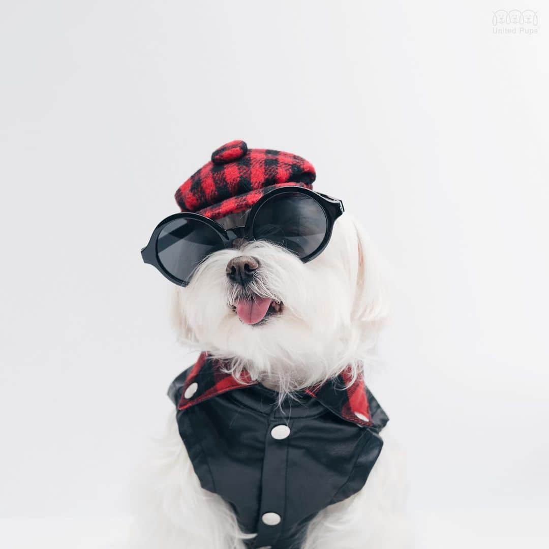 hi.arodのインスタグラム