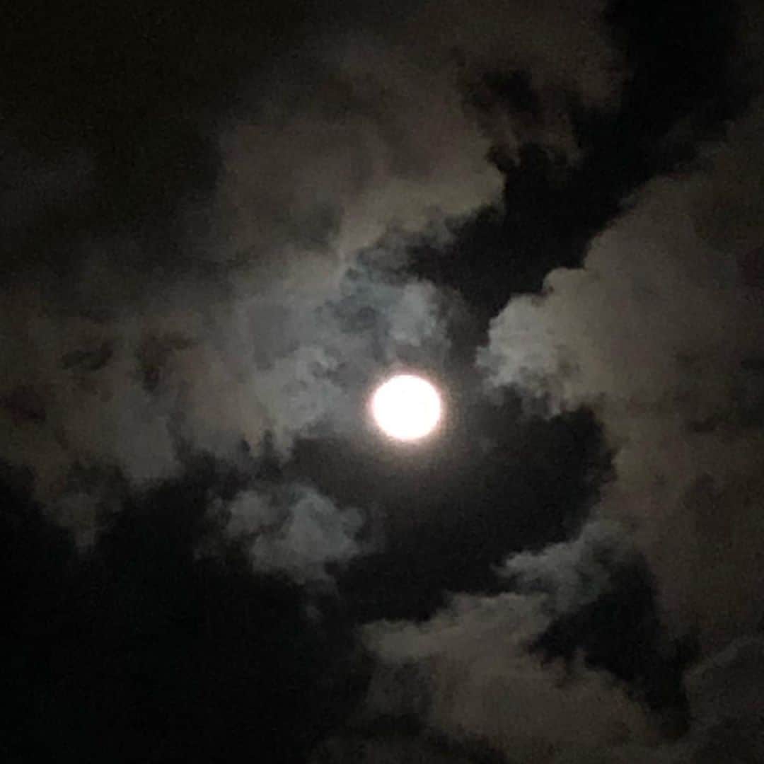 南果歩さんのインスタグラム写真 - (南果歩Instagram)「お月様が好き🌕 疲れた果てた帰り道、ヒョイと見上げるとお月様が綺麗😊 そんな所から見守ってくれてたのね❤️ なんだか嬉しい帰路でした🍀」11月15日 1時16分 - kaho_minami
