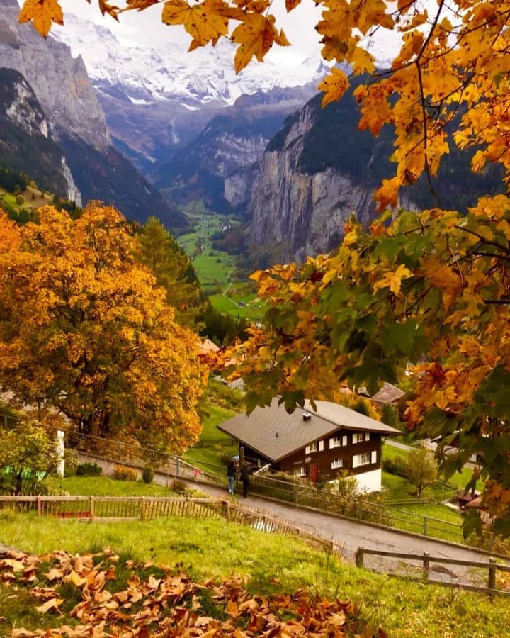 Hatice Korkmaz The Color Queenのインスタグラム：「Listen to the autumn😍🍁🍂🧡 #wengen #switzerland #nature #fall #autumn #love #jungfrauregion @jungfraujochtopofeurope  @wengen.swiss」