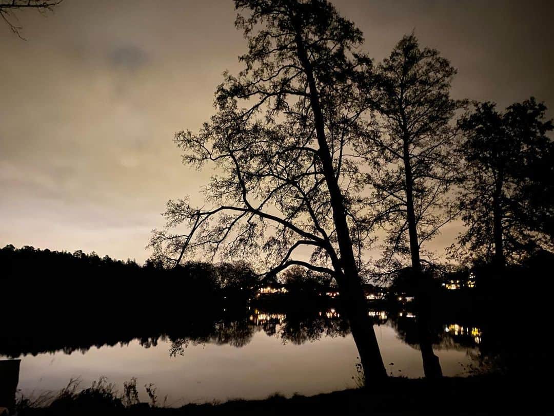 ポーリーヌ・オアロのインスタグラム：「7pm in Sweden ✨」