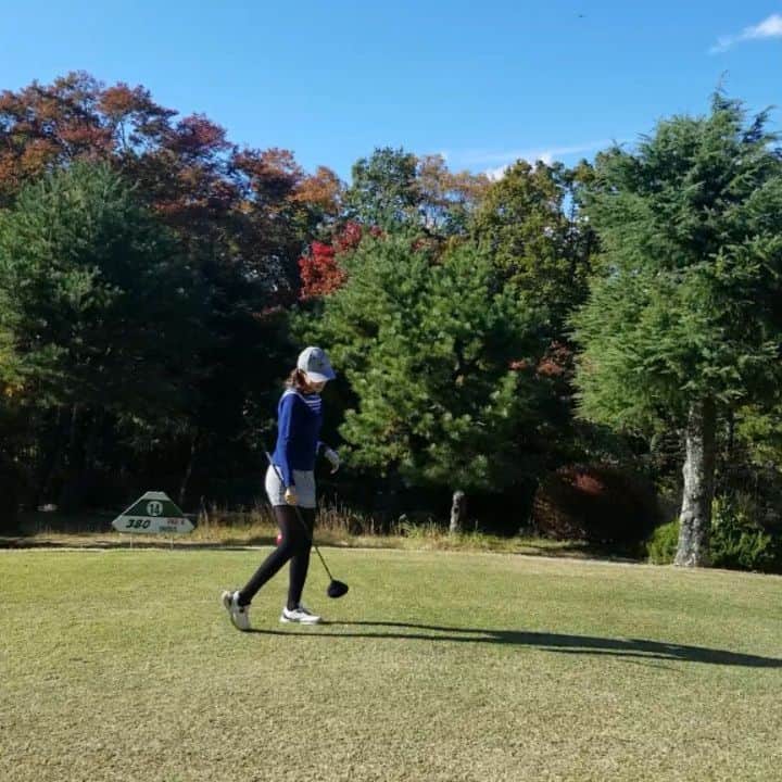 武田しのぶのグルメインスタ