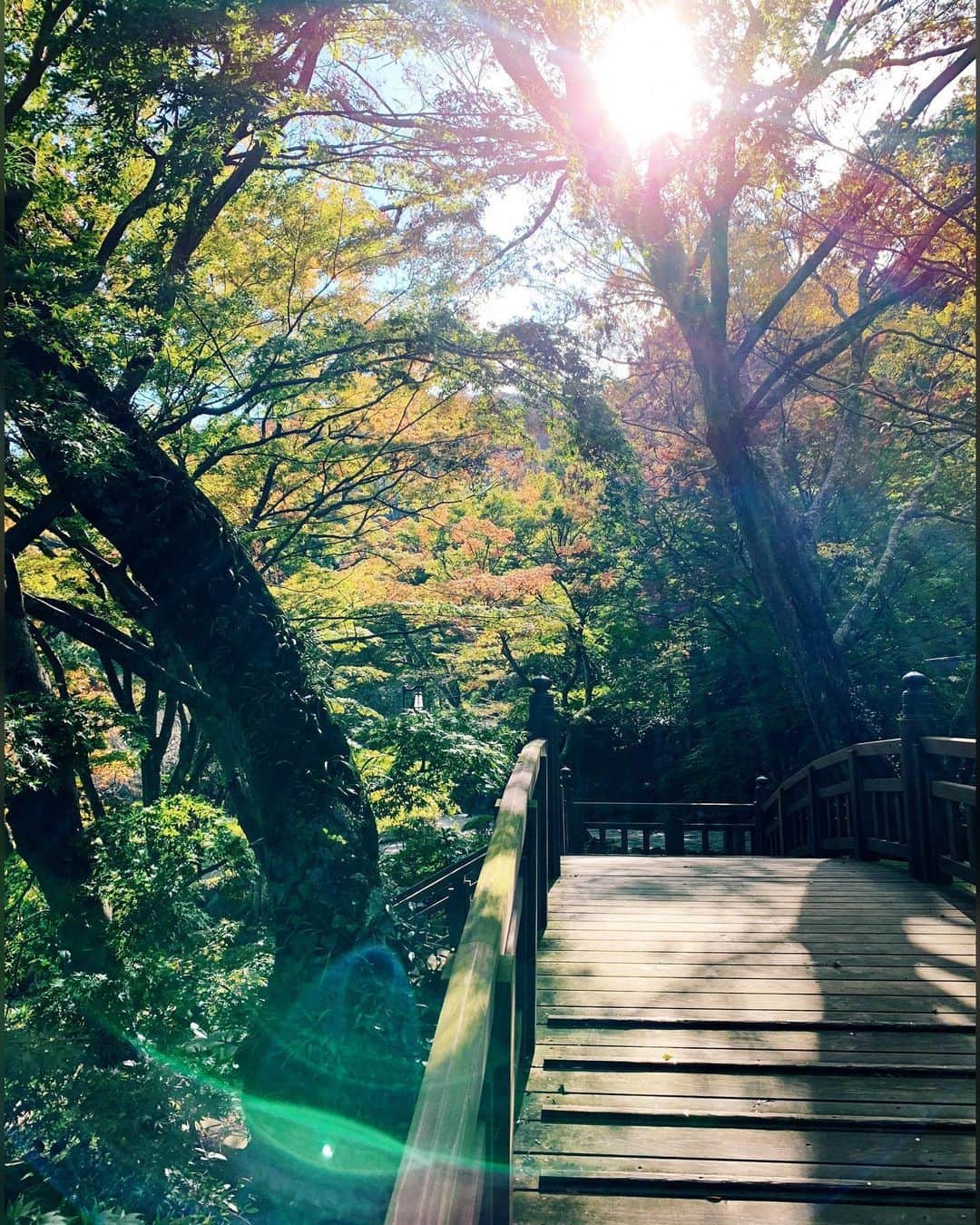 PELIのインスタグラム：「✨🍂🧚‍♀️🍂✨」