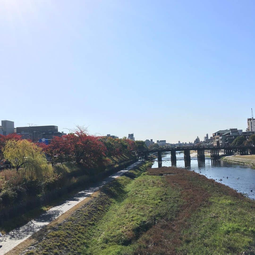一保堂茶舗のインスタグラム