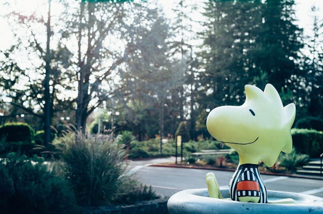 SNOOPY MUSEUM TOKYOのインスタグラム：「#snoopymuseumtokyo #schulzmuseum #santarosa  #snoopy #スヌーピーミュージアム #スヌーピー #12月14日オープン」