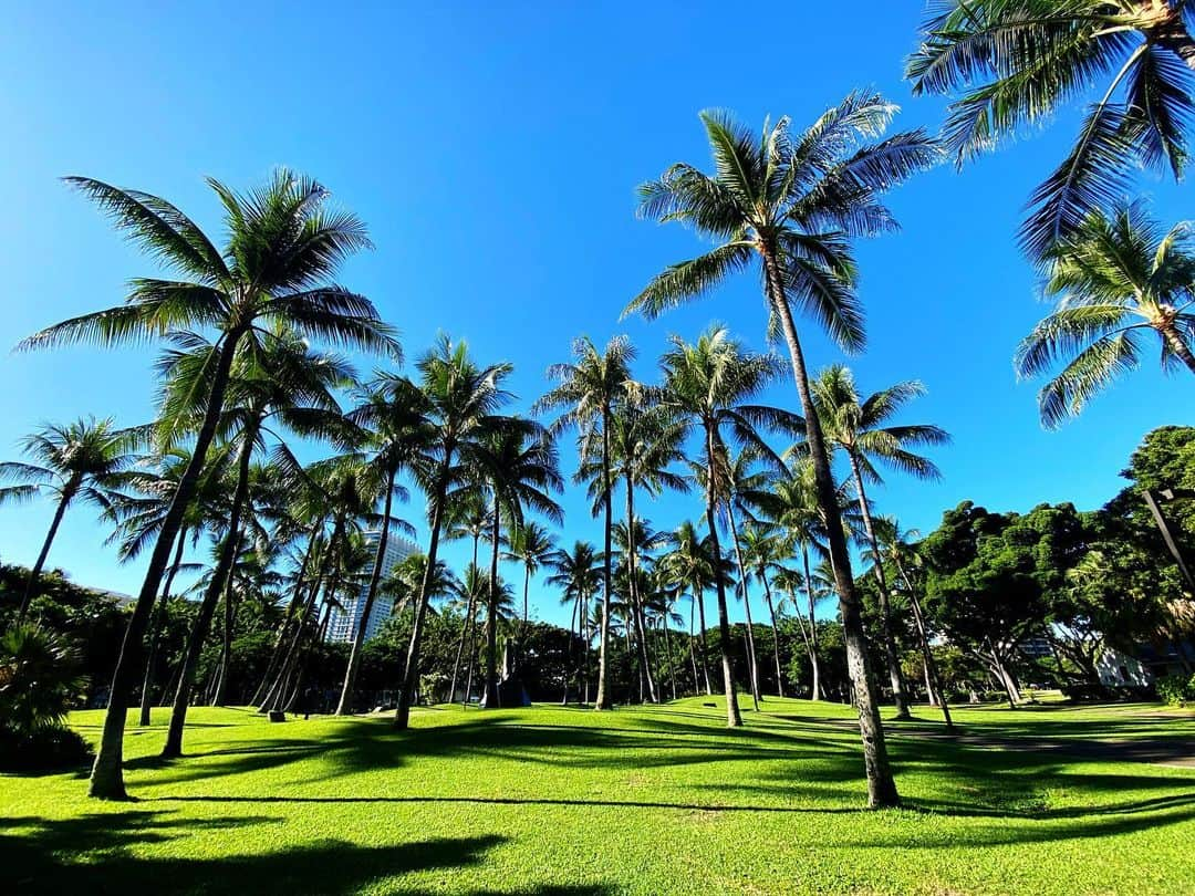 興梠友理さんのインスタグラム写真 - (興梠友理Instagram)「Oahu, Hawaii - Nov. 2019 ・ 急遽決めた4泊6日のハワイ一人旅🌴 ・ 去年の12月に膝のゲガをしてからいろんなことを乗り越えてきた今までの自分へのご褒美旅✨ ・ 南国のおおらかな雰囲気に癒されていいリフレッシュになりました♪ #毎日1万歩以上歩いたし ・ まだ乗り越えることはたくさんあるけれど、これでまた頑張れそう😤 ・ 次は一年以内にまた行きたいなー😋 #唯一の心残りは天気が良すぎて虹が見れなかったこと ・ 【1】アラモアナビーチパーク 【2,3】シェラトンワイキキのロビー付近にあるステキな椅子(隣のホテルだからでよく通り抜けてたw) 【4】カラカウア通り沿いのどこかwww 【5】MELEKALIKIMAKA(ハワイ語でメリークリスマス) 【6】MAHALO(ハワイ語でありがとう) 【7】夜のロイヤルハワイアンホテルのガーデン側 【8,9】いつまでも見てられるワイキキの海(朝イチは人少なめ) ・ #ろぎ子のハワイ旅  #ハワイ #ワイキキ #オアフ #ワイキキビーチ #アラモアナビーチパーク #hawaii #waikiki #oahu #waikikibeach #alamoanabeachpark」11月15日 14時33分 - yuri_rogi